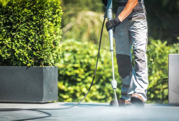 Best House Exterior Washing  in Collinsvle, IL